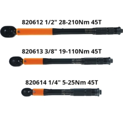 DREHMOMENTSCHLUSSEL FÜR FAHRRAD 
1/4" 5-25Nm 24T