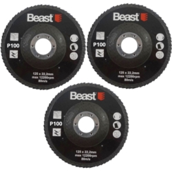 DYSK ŚCIERNICA LISTKOWA LAMELKA 3 SZTUKI P100 125/22MM 3X