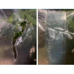 NASTRO ADESIVO PER LA RIPARAZIONE DEL FILM SERRA 100MMx10M TRANSPARENT